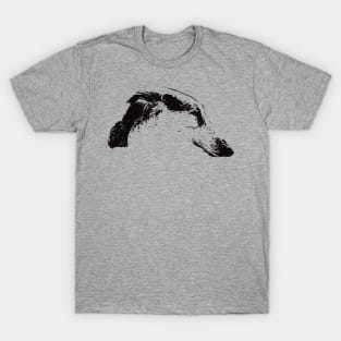 Borzoi gift for Borzoi Owners T-Shirt